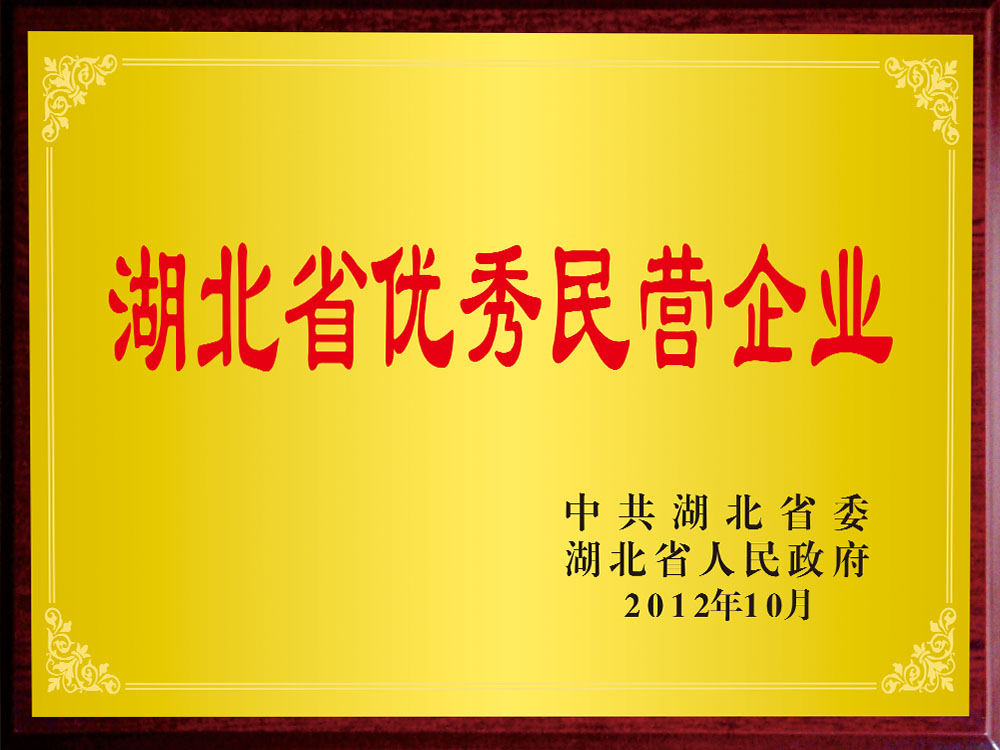 湖北省优秀民营企业